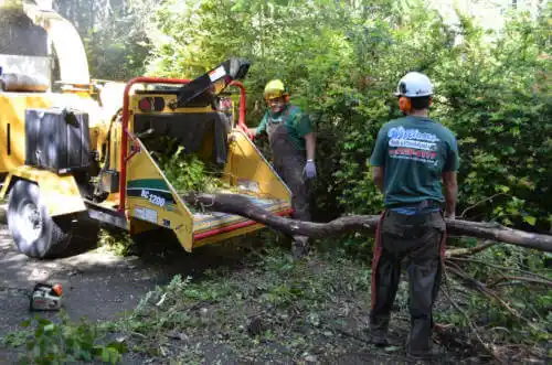 tree services Cave City